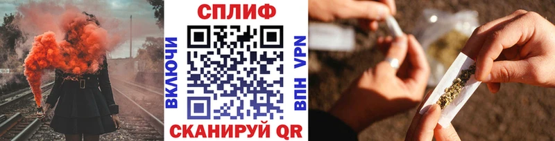 Конопля гибрид  Вельск 