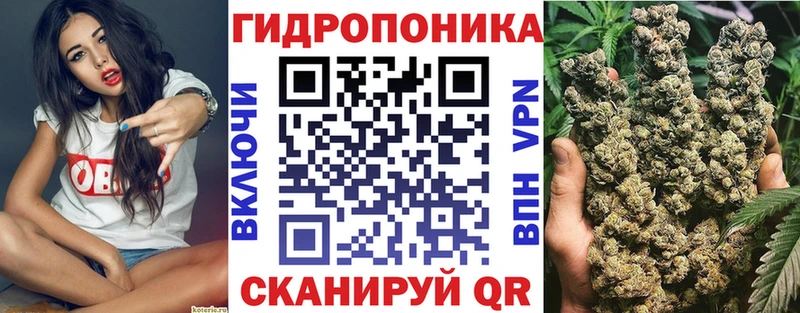 Бошки Шишки индика Вельск